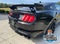 2021 Ford Mustang Shelby GT500SE Carbon Track Pack