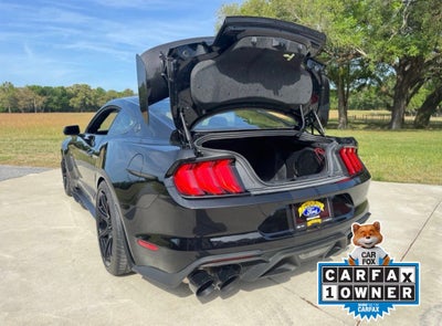 2021 Ford Mustang Shelby GT500SE Carbon Track Pack