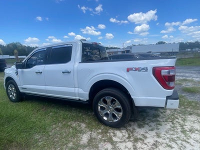 2023 Ford F-150 Platinum
