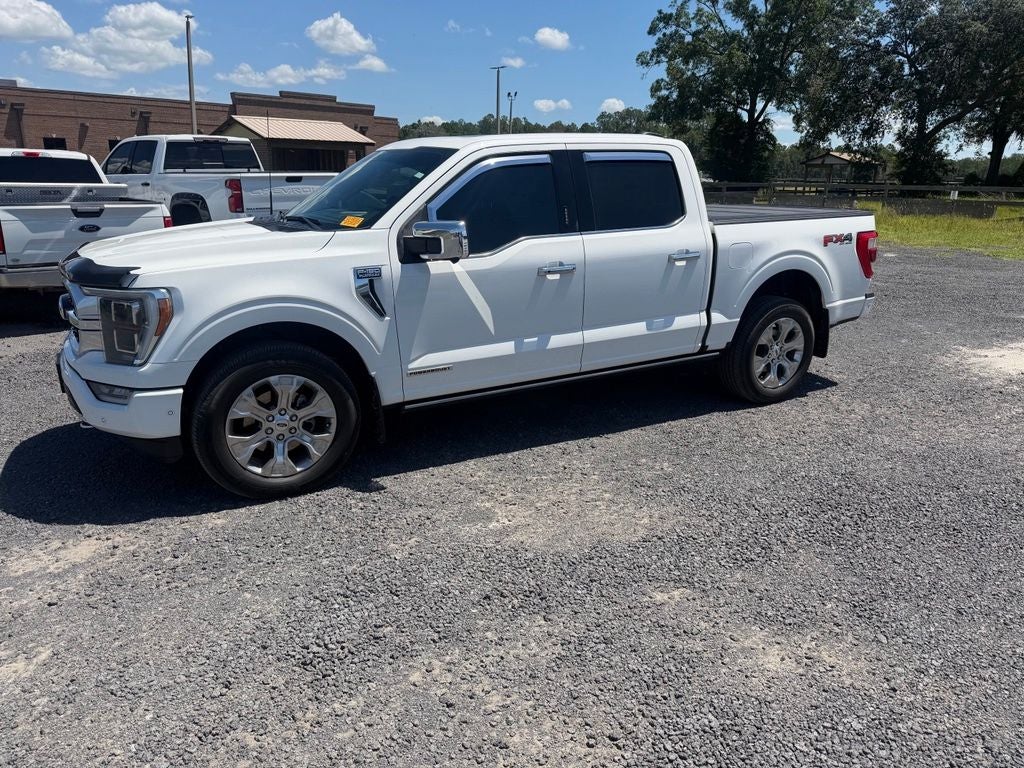 2023 Ford F-150 Platinum
