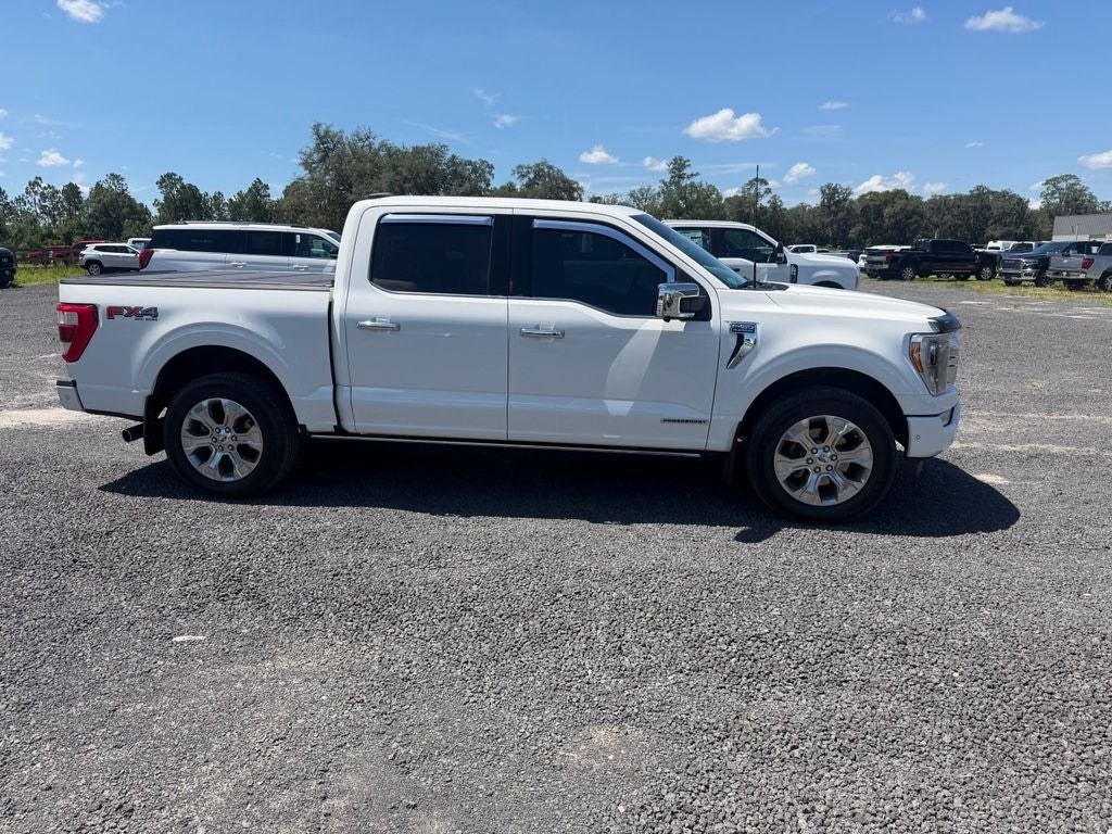 2023 Ford F-150 Platinum