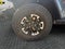 2026 Jeep Gladiator GLADIATOR SHADOW OPS 4X4