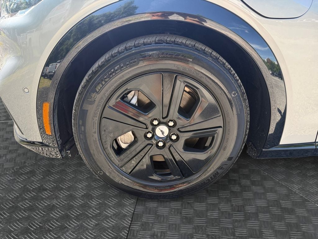 2021 Ford Mustang Mach-E California Route 1