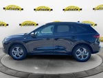 2024 Ford Escape Hybrid ST-Line