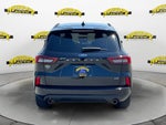 2024 Ford Escape Hybrid ST-Line