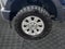 2021 Ford F-250SD Platinum