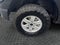 2024 Ford F-150 STX 5.0 V8 4X4