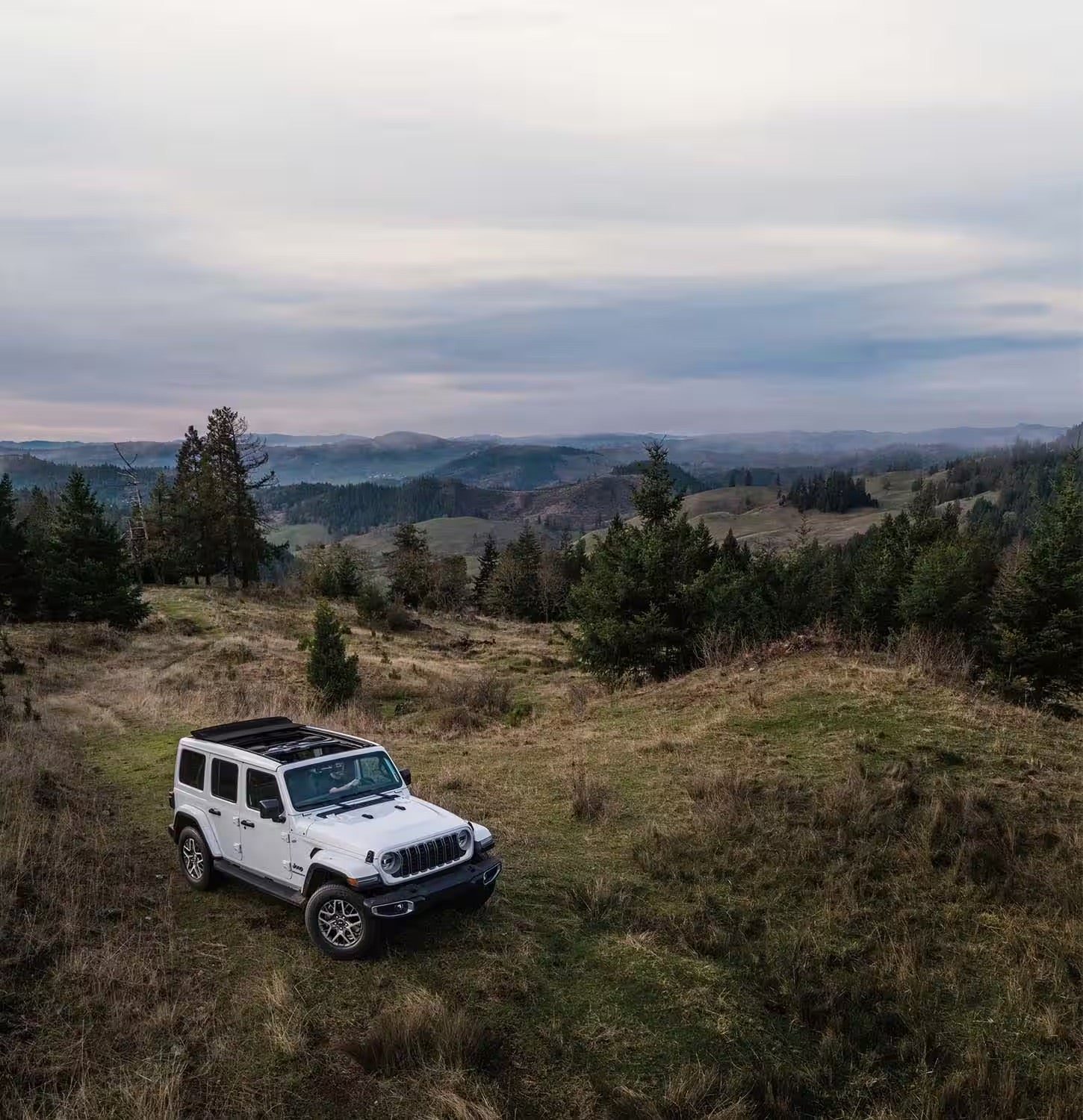 a white Jeep Wrangler in a field.